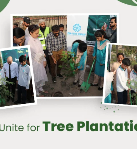 A Green Step Forward: Commissioner Multan and Maarifians Unite for Tree Plantation Drive 